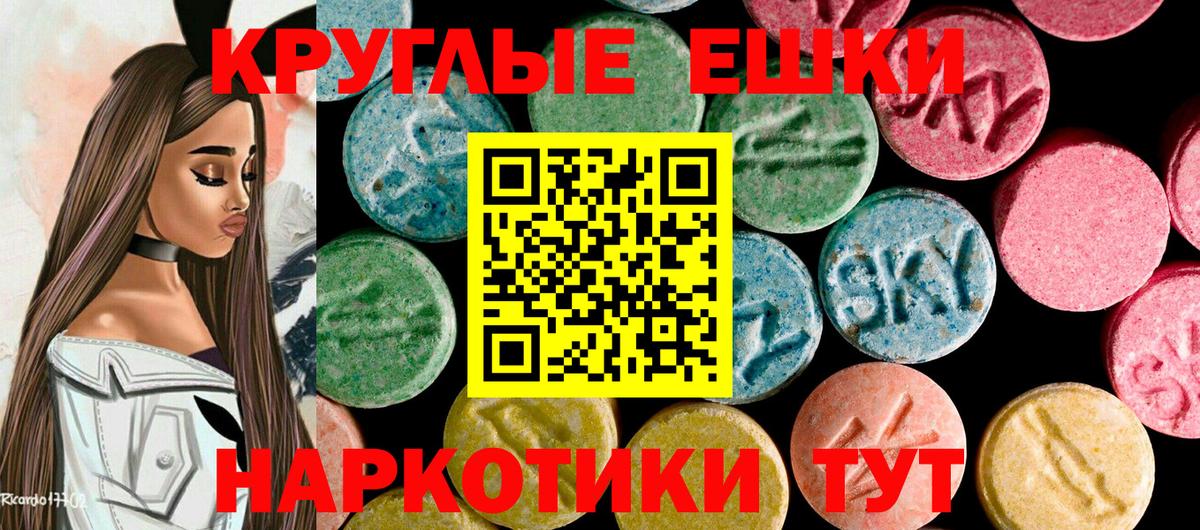 Экстази  Вход с VPN  Гатчина  Экстази Philipp Plein 