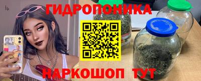 тгк Братск