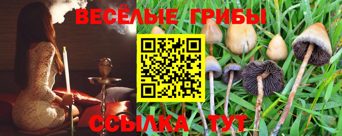 Галлюциногенные грибы мицелий Гатчина