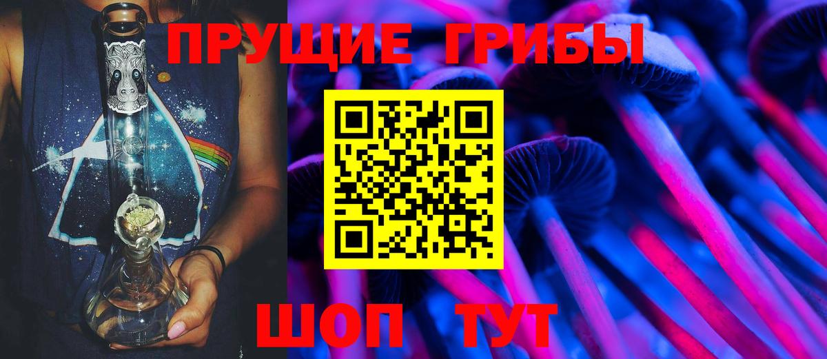 Гатчина  Псилоцибиновые грибы Psilocybine cubensis  закладки  Вход с VPN 